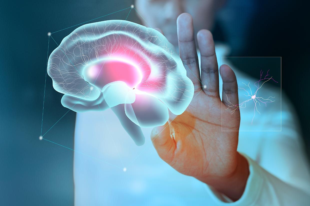 Un millimetro cubico di cervello potrebbe rivoluzionare la neuroscienza