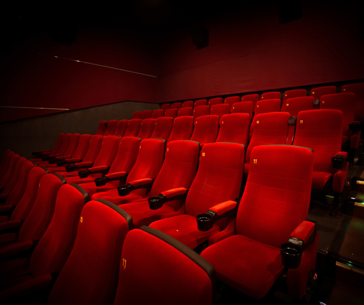 Natale e Capodanno al cinema: ecco i film nelle sale