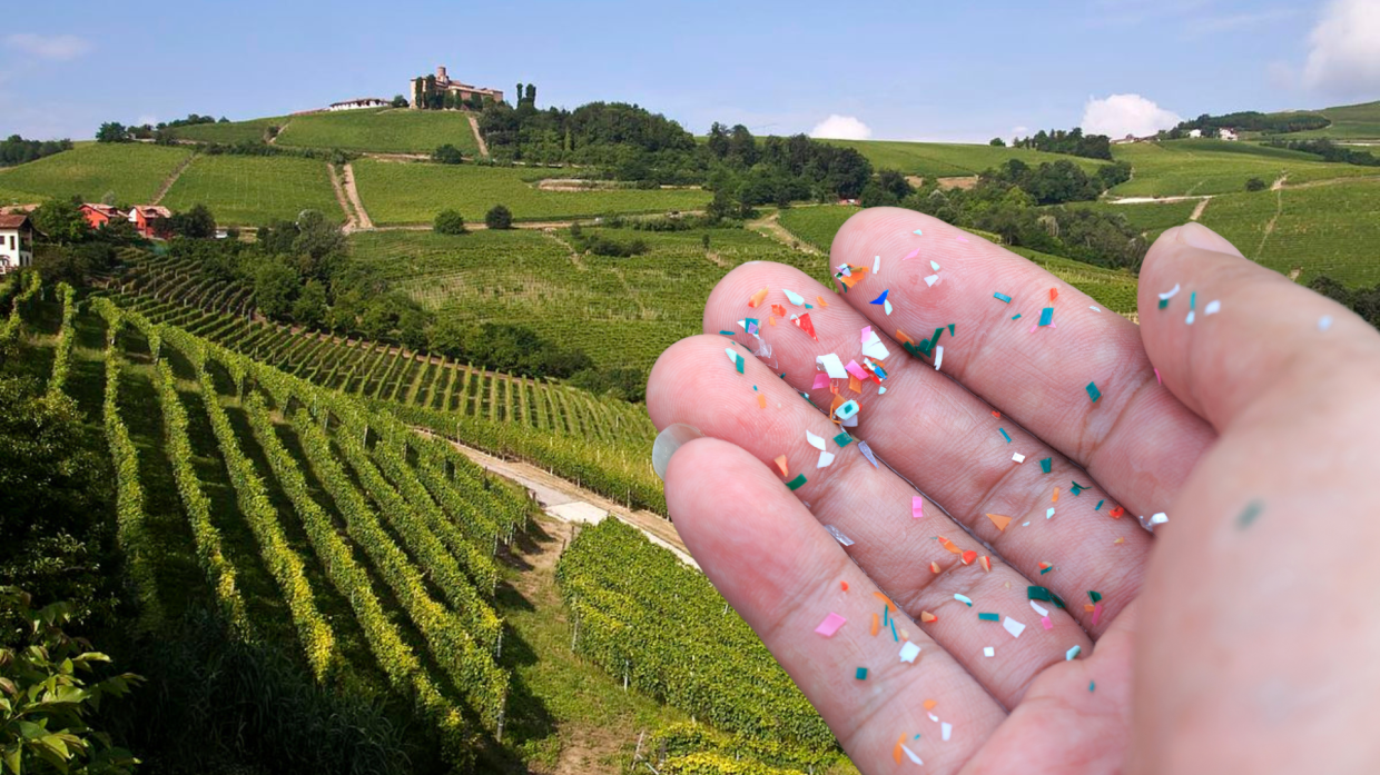 Le microplastiche nei vigneti delle Langhe e del Roero, parlano gli esperti