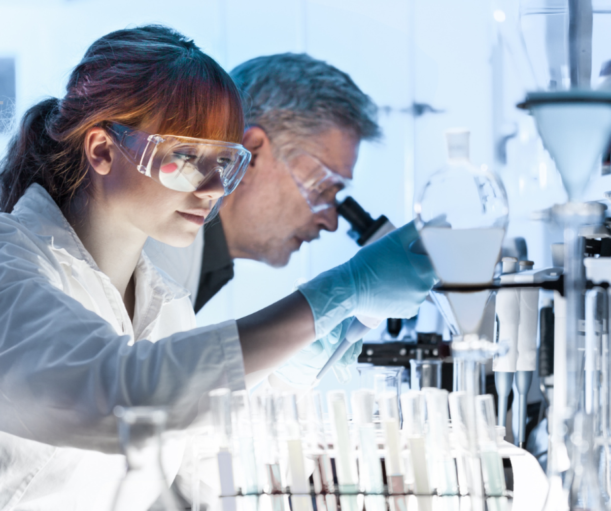 Torino guida la rivoluzione microbica: 43mila risorse mappate