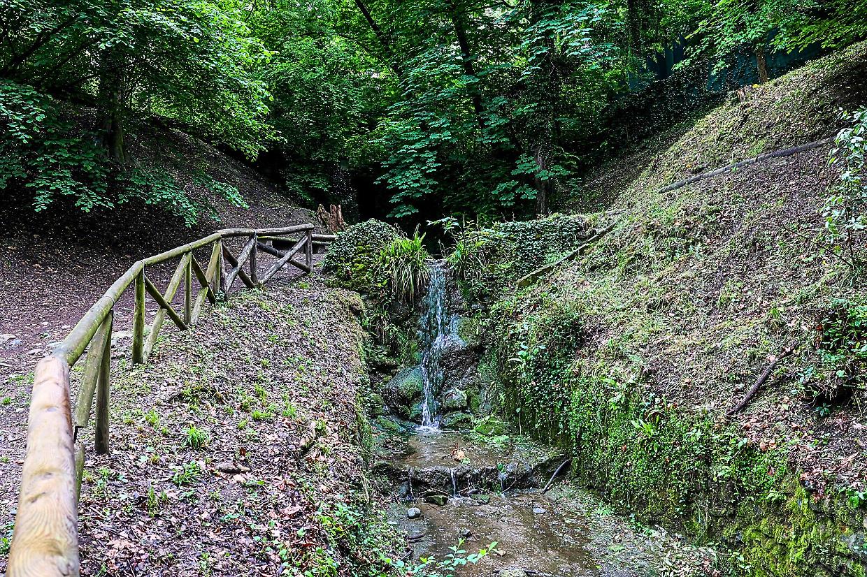 Urban Nature, il festival della biodiversità urbana arriva a Torino