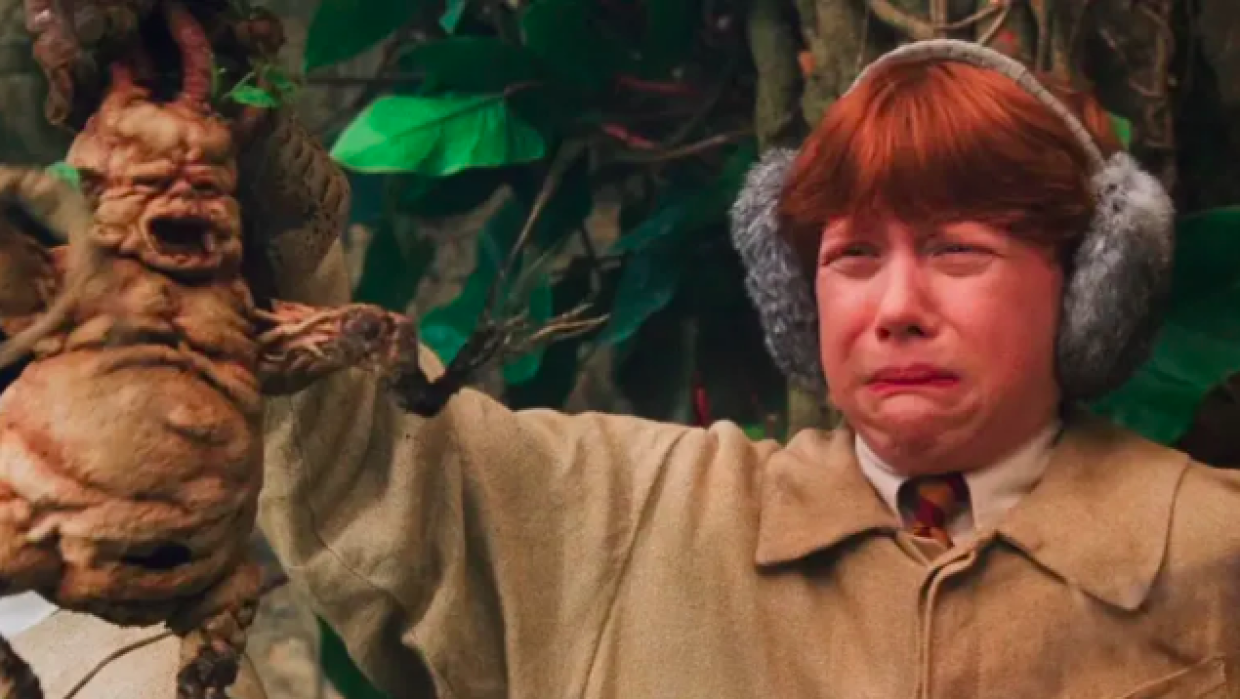 Le piante "parlano" in ultrasuoni quando sono stressate e malate (e questi animali possono sentirle)