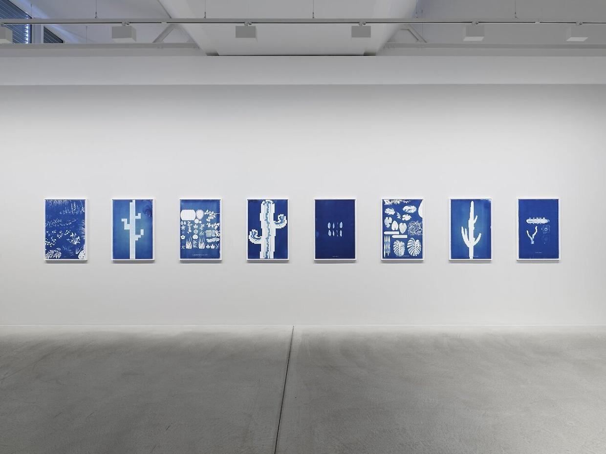 "Queste piante non esistono davvero": Virtual Botany Cyanotypes arriva alle OGR Torino