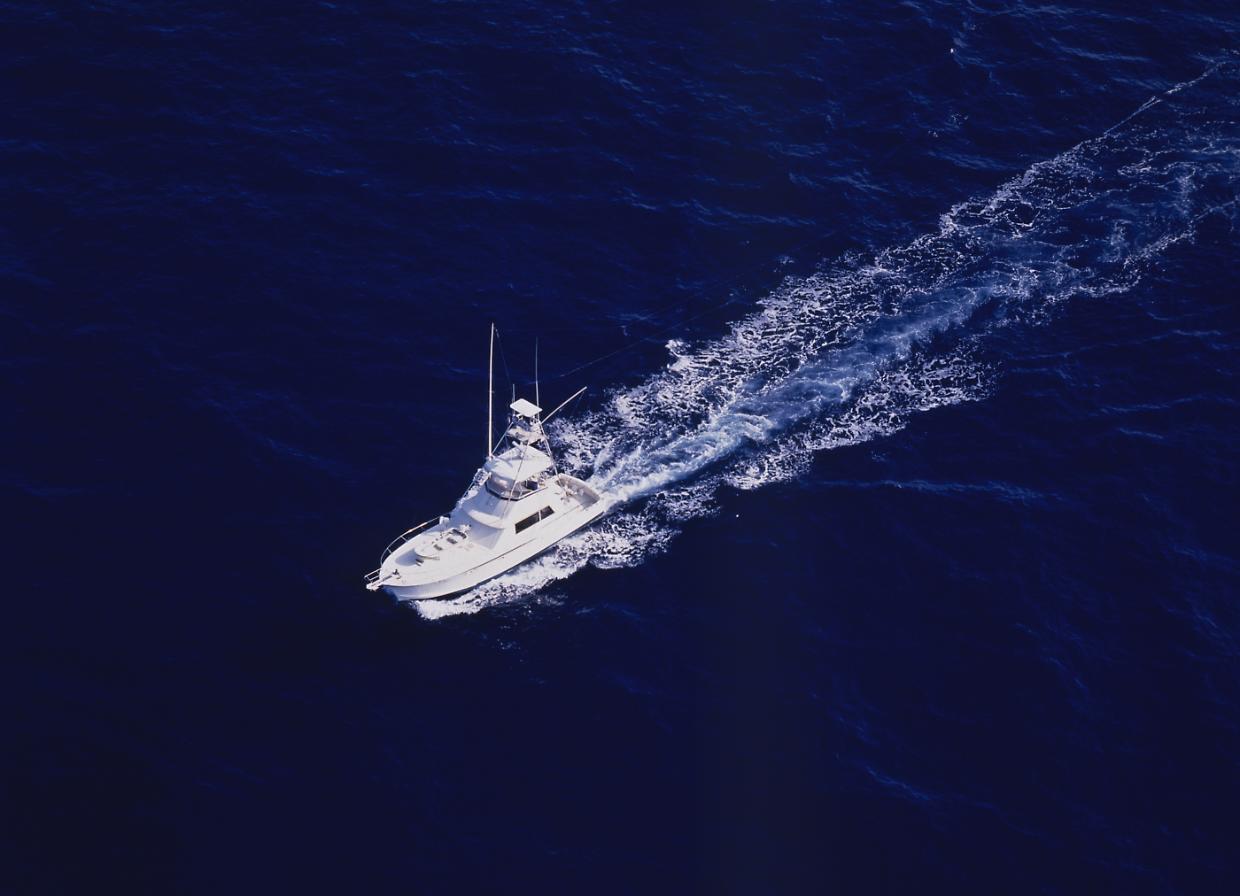 Tonno rosso, entra in vigore l’obbligo del sigillo di garanzia per combattere la pesca illegale