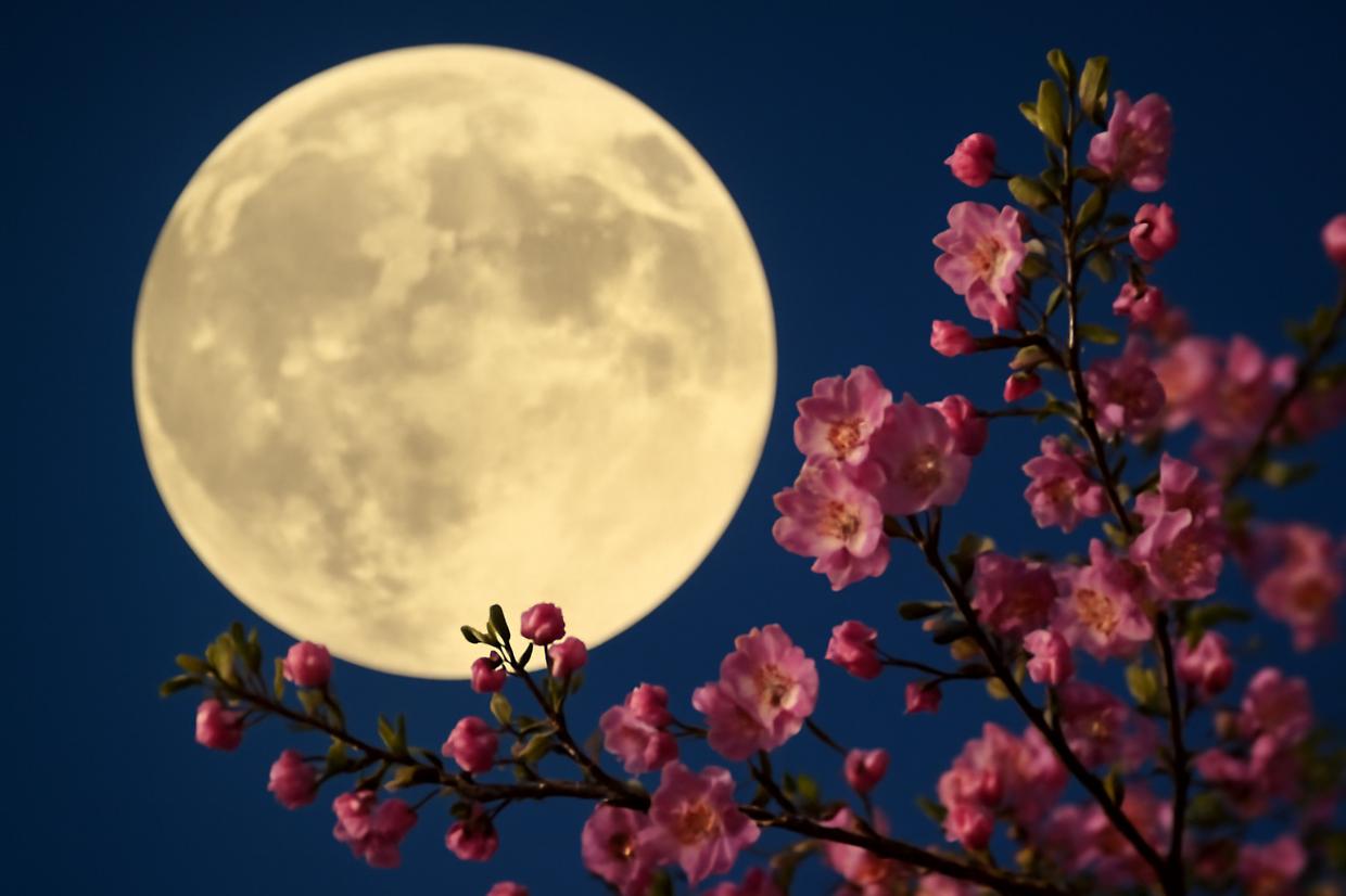 Attesa la "Luna Piena dei Fiori": quando vederla e perché è chiamata così