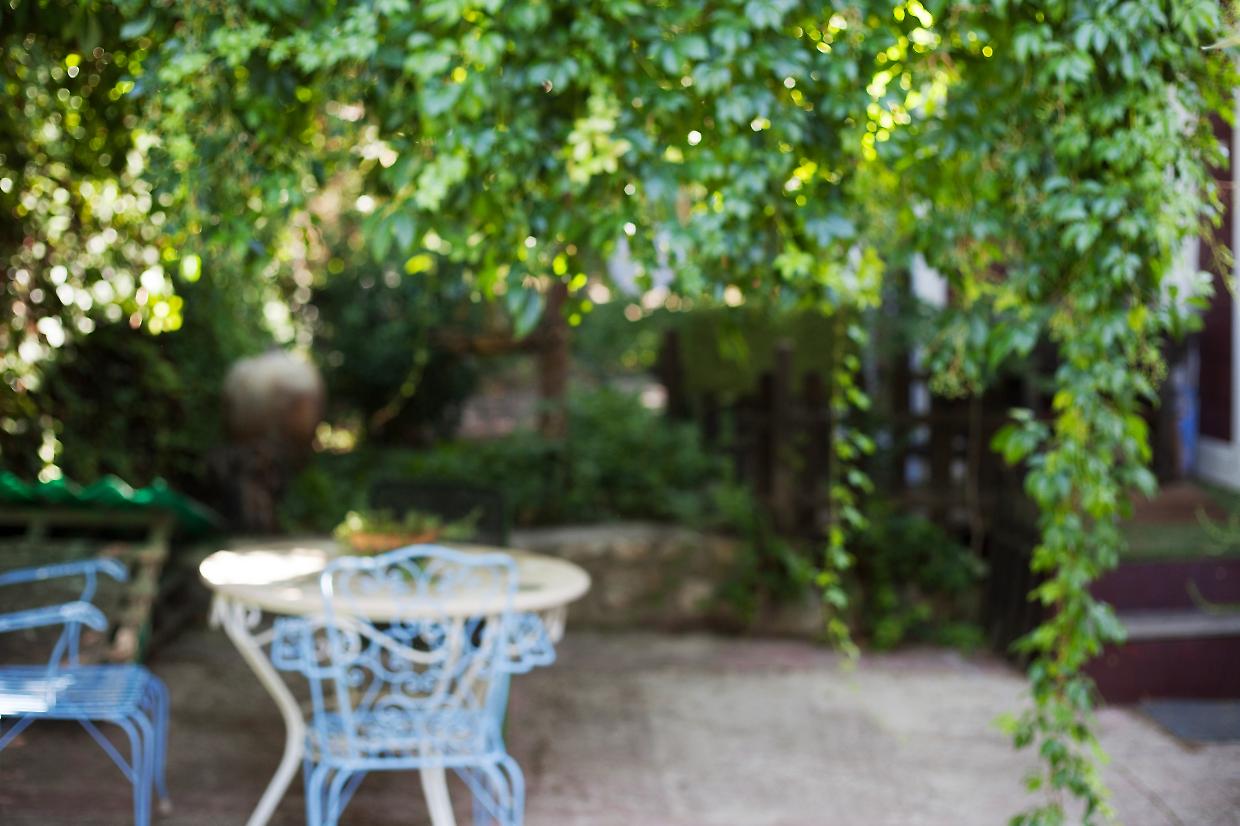 Arriva il caldo: ecco 5 trucchi per rendere più fresco il tuo giardino durante l'estate