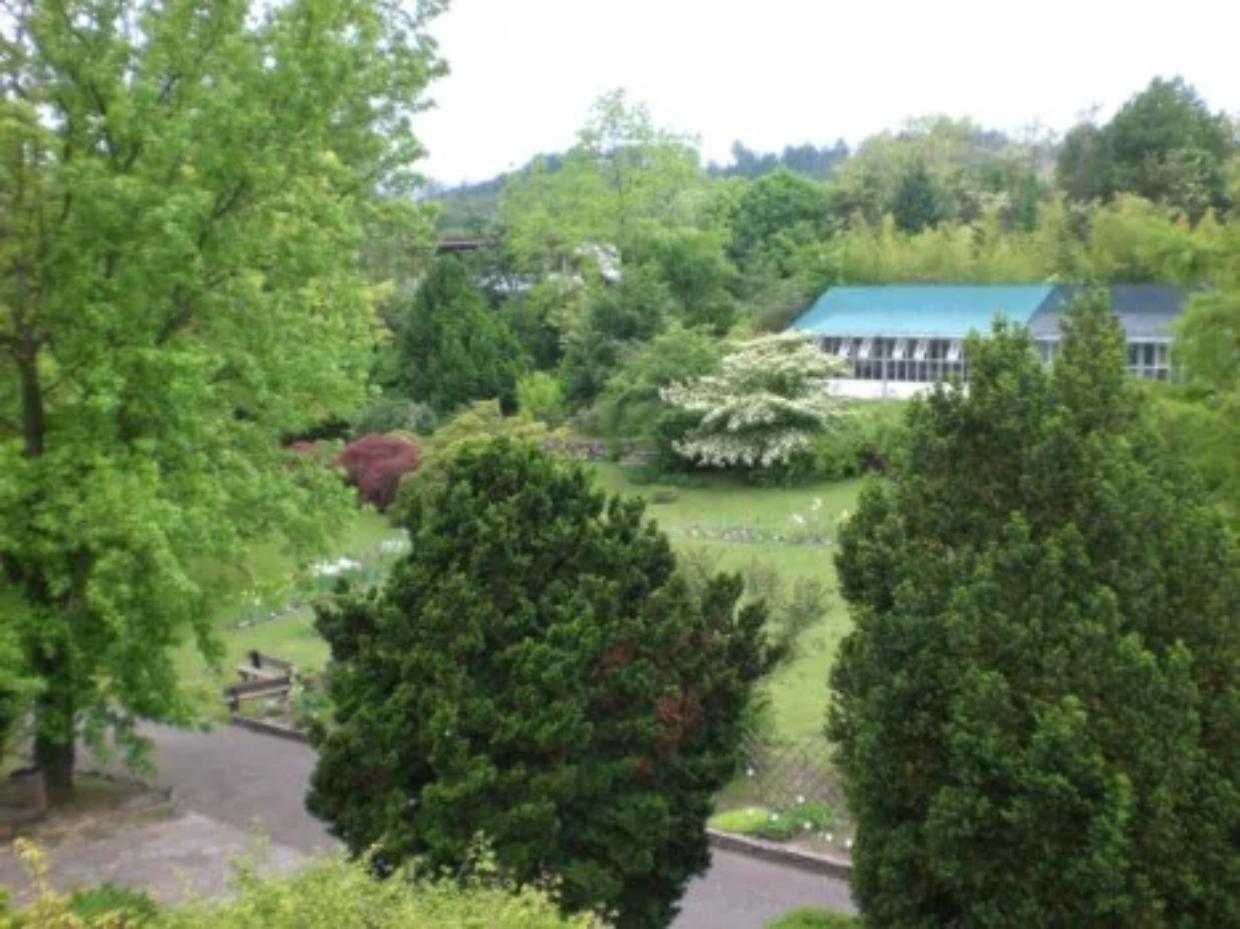 Il Giardino Botanico Rea: un nuovo inizio per il polmone verde di Trana