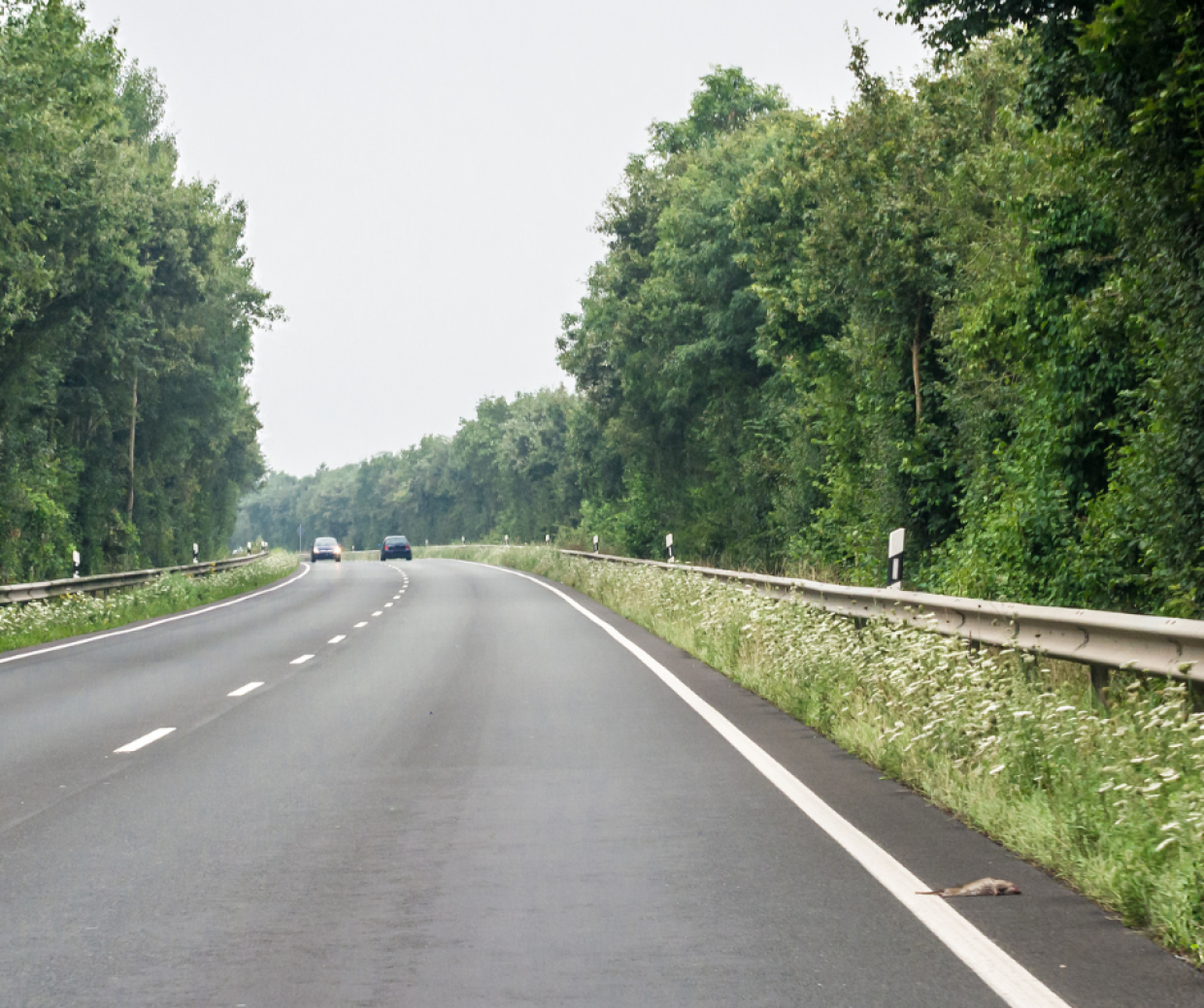 Strade provinciali: un nuovo assetto tra Città metropolitana e San Carlo Canavese