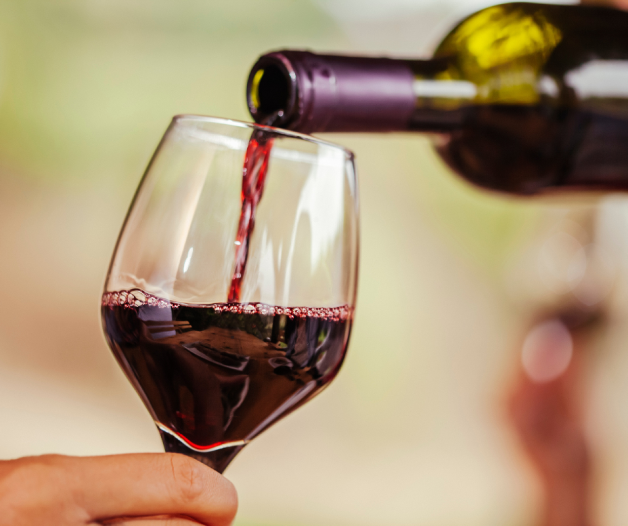 Sei vini italiani che raccontano il futuro: tradizione e innovazione nel calice
