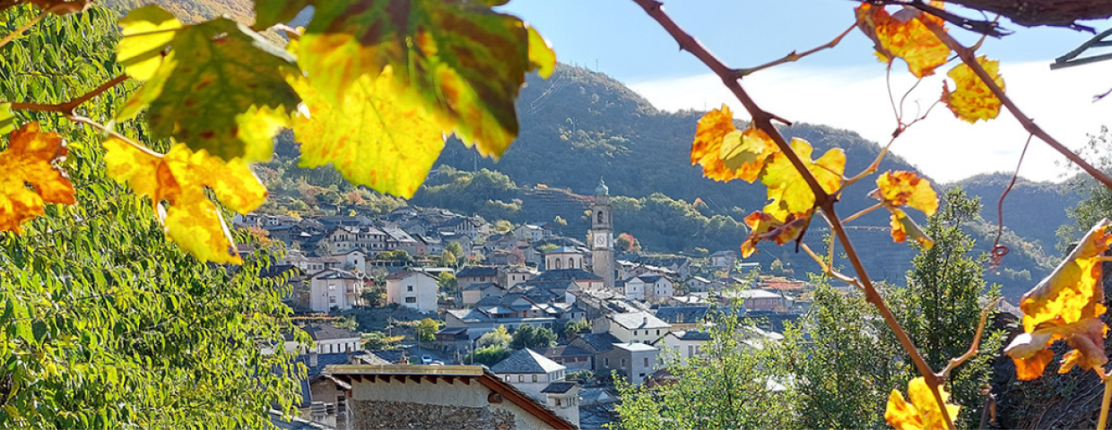 Eventi weekend: tra cultura, tradizione e solidarietà nel chivassese e vercellese