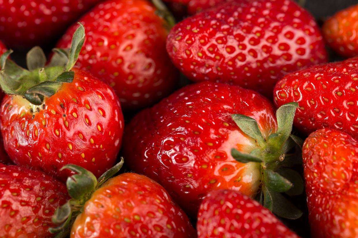 Sommariva Perno: la fragola che unisce tradizione e innovazione nel cuore del Roero