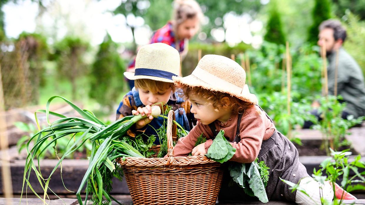 Slow Food Day a Bra: il futuro del cibo passa dal "Mercato della Terra"