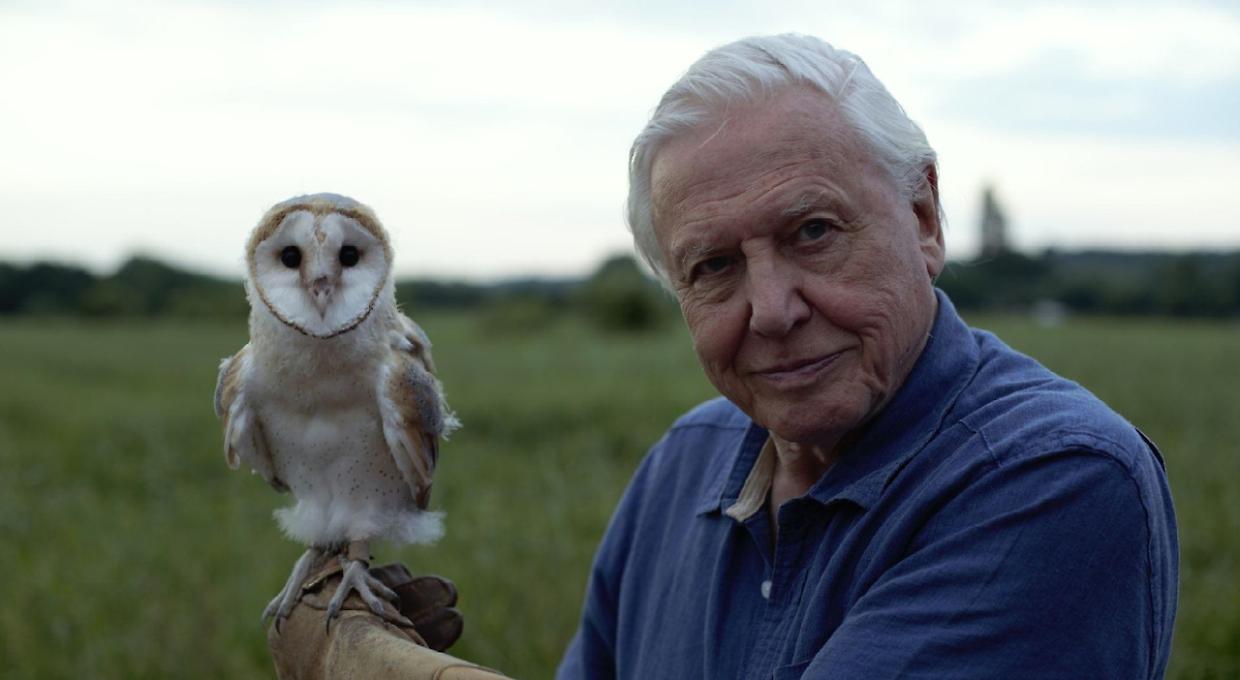 I capolavori di David Attenborough da vedere prima di Ocean