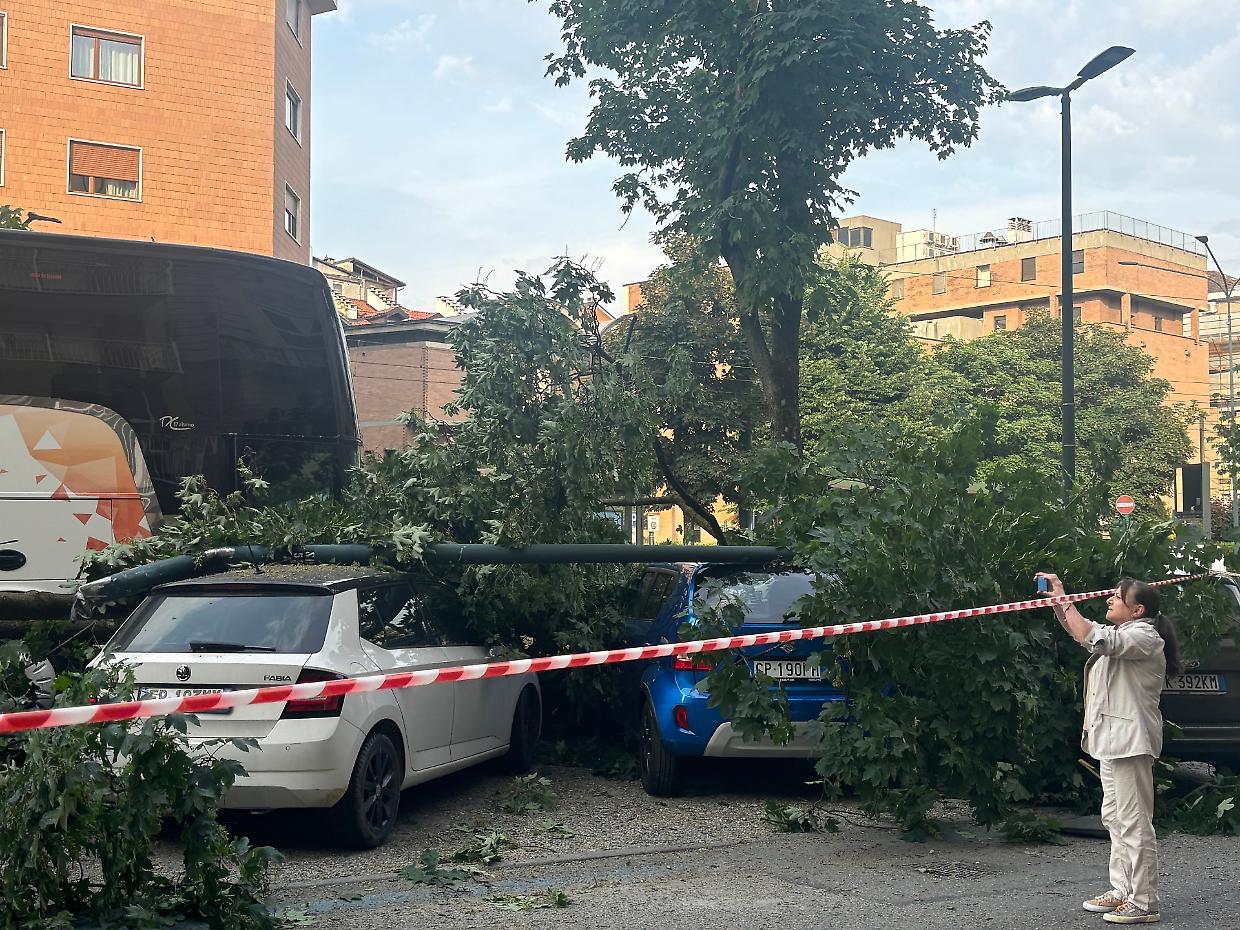 Bus contro albero, cosa è successo in corso San Maurizio?