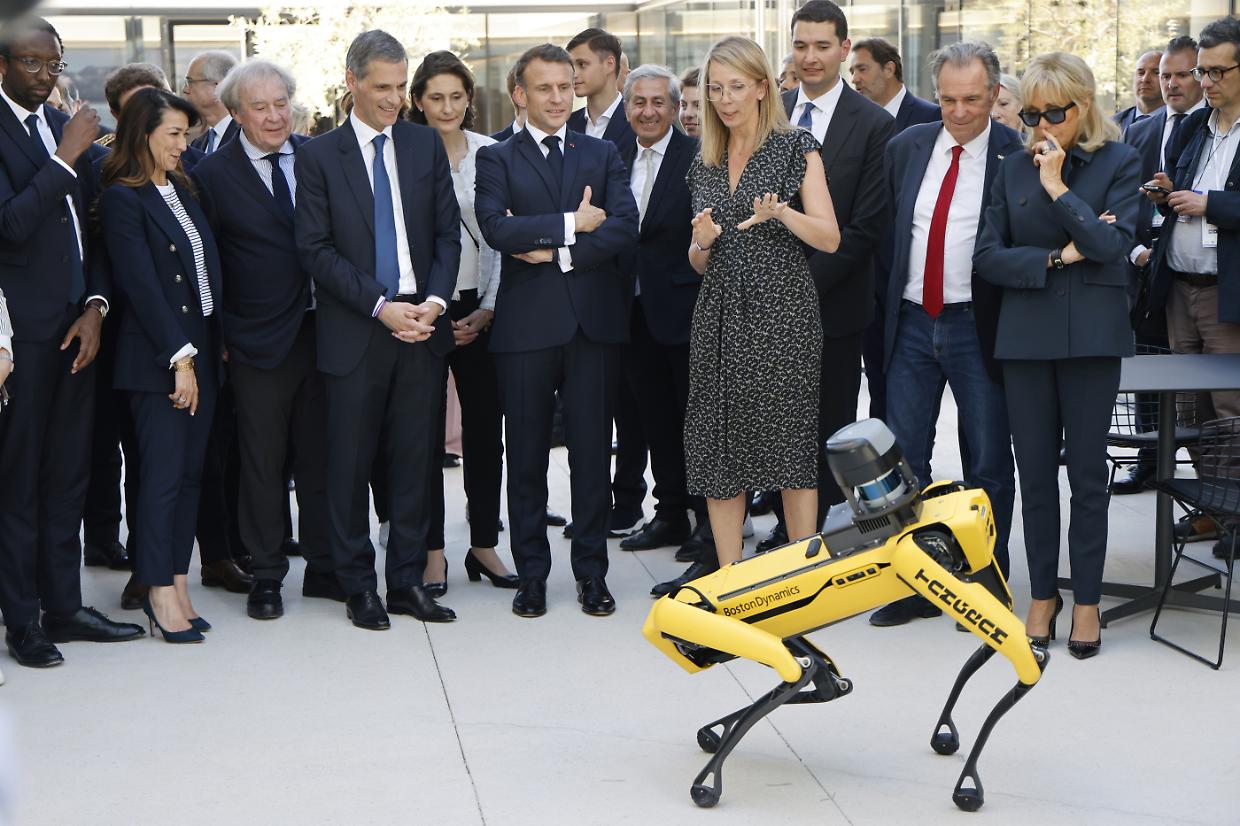 Bestiario del futuro: gli animali robot che imitano la natura per rivoluzionare il presente