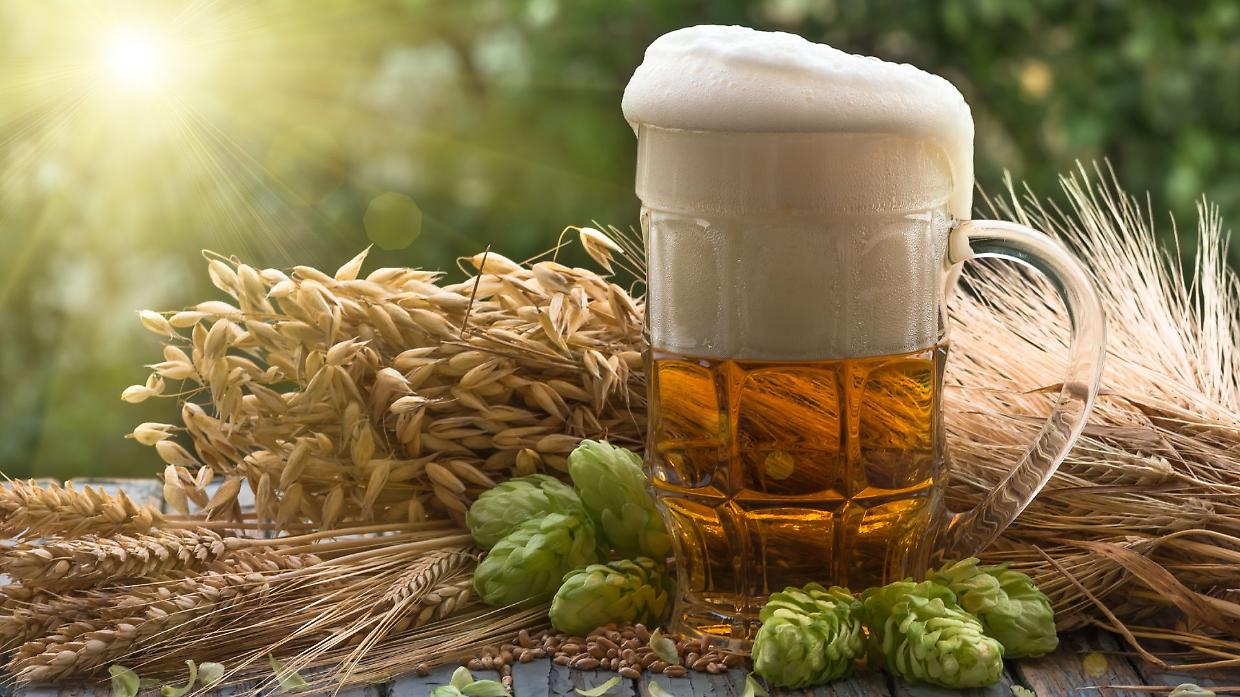 Birre low e analcoliche, boom del 13,4% secondo Assobirra