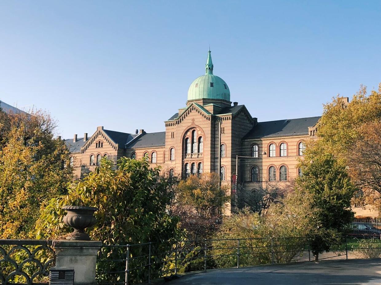 Università? In Danimarca ti pagano per frequentarla