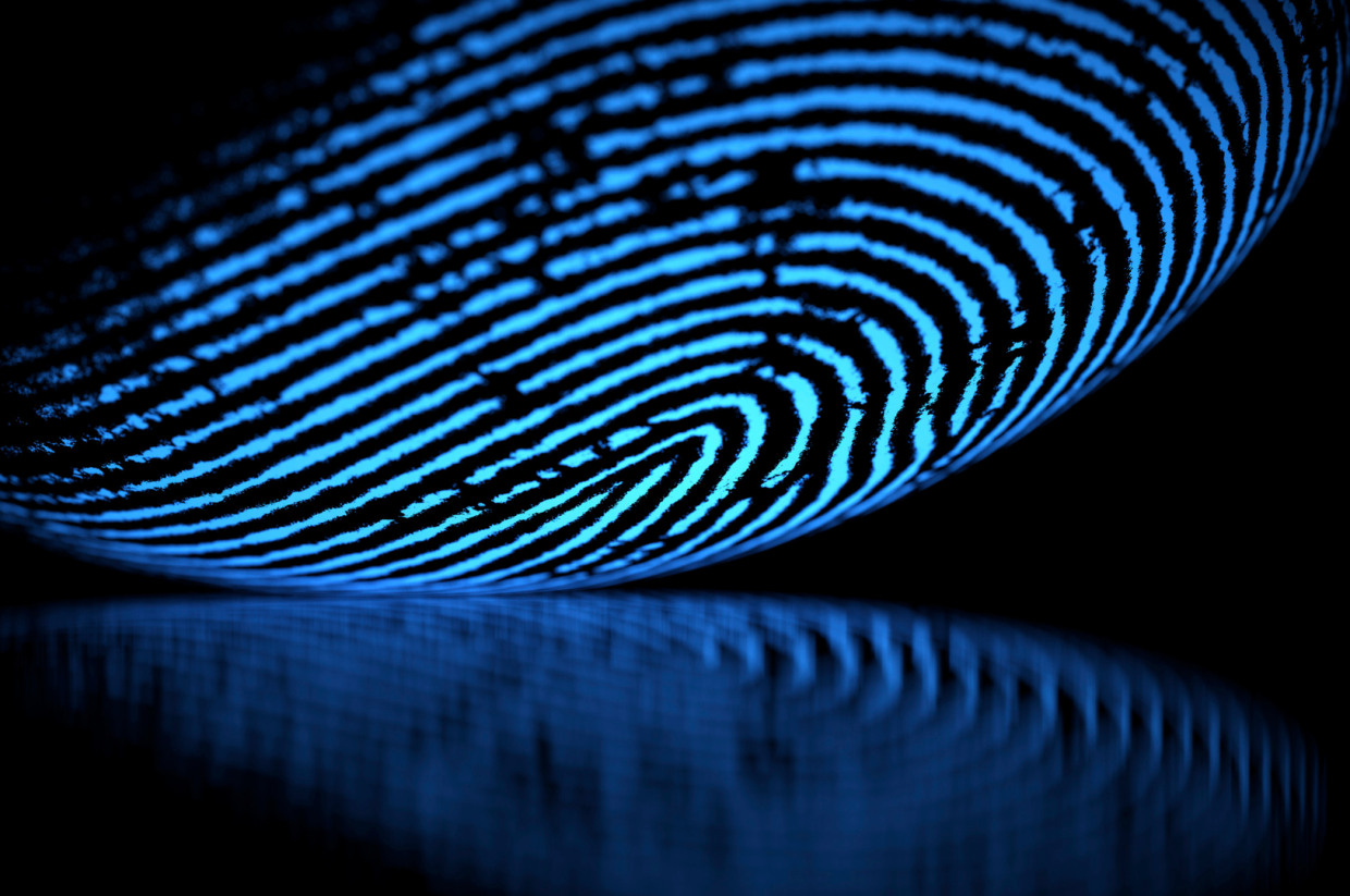 Quanto dura un’impronta digitale? Dipende dai materiali e dalla sudorazione