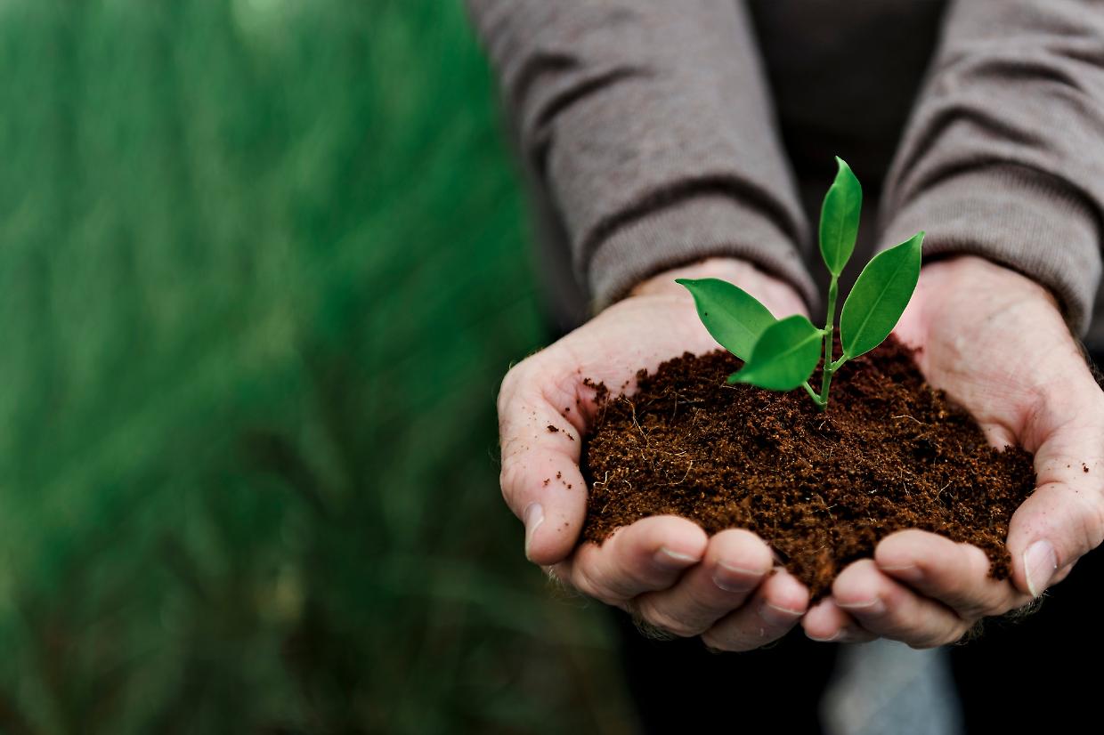 L'autocompostaggio domestico come modello di sostenibilità locale