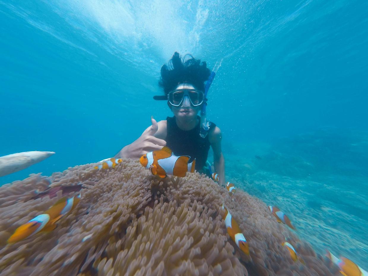 Snorkeling: guida pratica per esplorare il mare con rispetto e consapevolezza