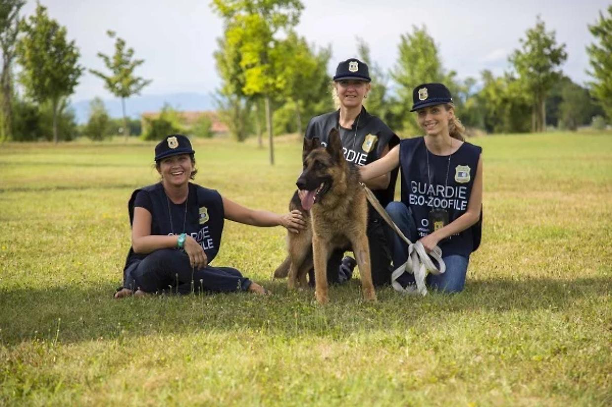 A Mirafiori e Santa Rita arrivano le guardie zoofile: un aiuto per i cani e i loro padroni