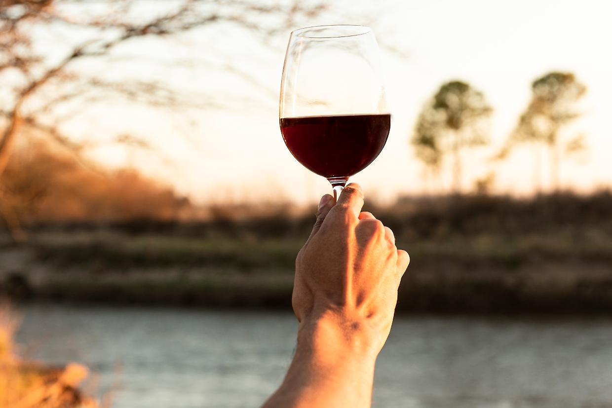 Piemonte: un trionfo enogastronomico ai Wine Travel Awards di Londra