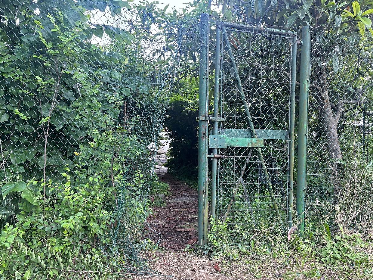 Via Marsigli, 36 ore dopo lo sgombero la bocciofila è di nuovo occupata