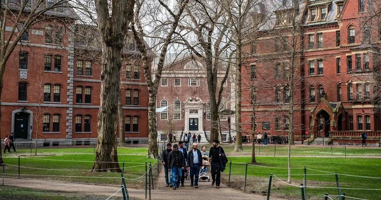 Ricerca a rischio ad Harvard: l’allarme del bioinformatico italiano Michele Berselli