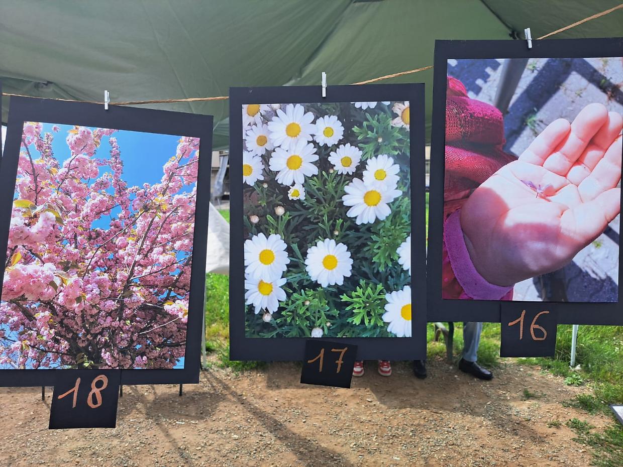 Via Montevideo: fotografie, memoria e comunità al centro della “Festa dei Vicini”