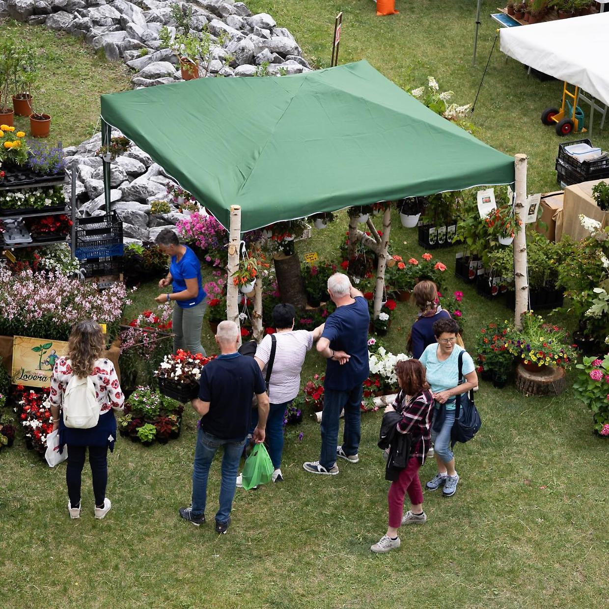 Forte in Fiore 2025: un weekend di colori, profumi e tradizioni al Forte di Vinadio