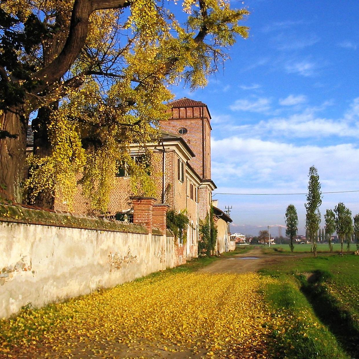 Il Vata Festival a Volvera: un viaggio tra musica e benessere