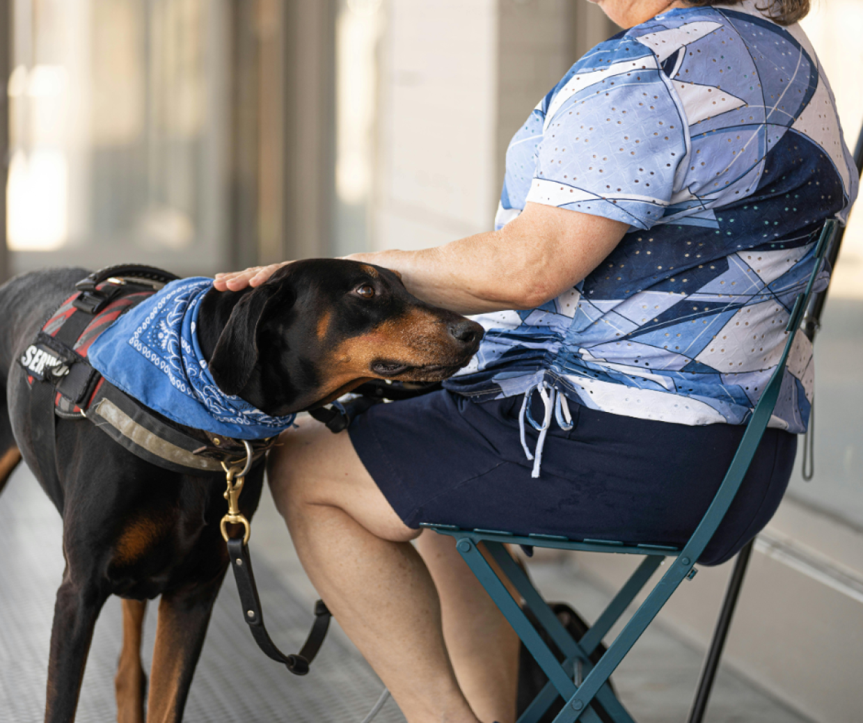 Pet therapy in Canavese: un viaggio emozionale tra cani e pazienti psichiatrici