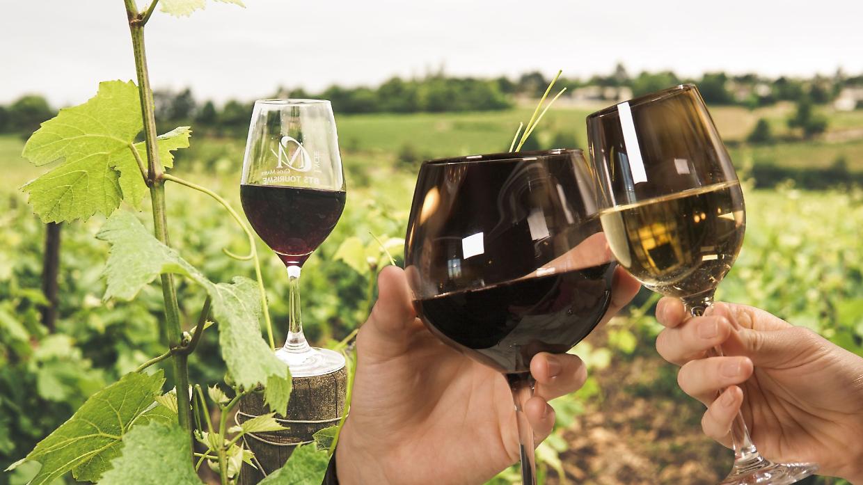 Vendite vino italiano +1,7% nel 2025: Veneto leader dell’export nonostante i dazi USA