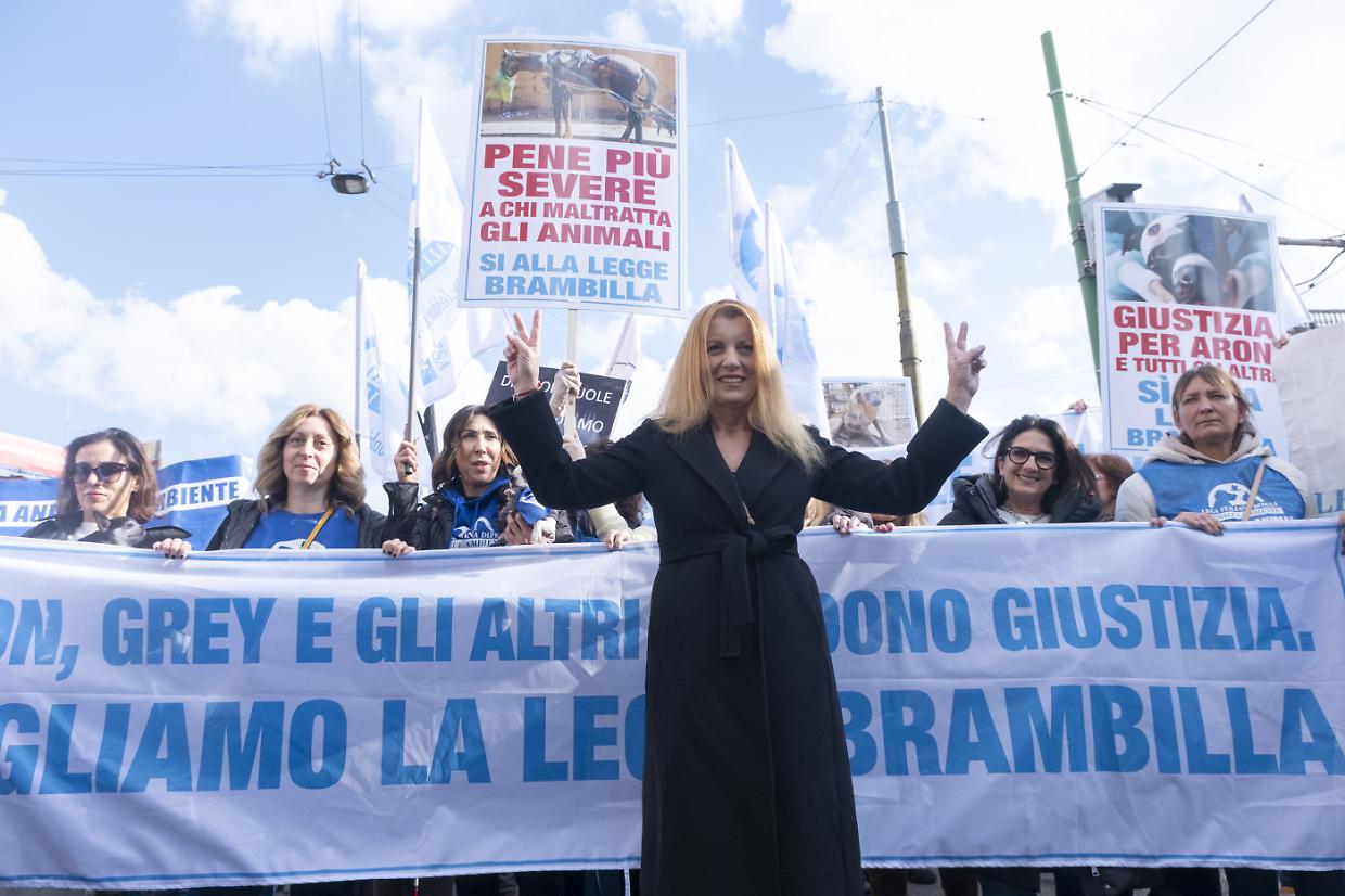 Il Senato approva la riforma storica sui reati contro gli animali: pene più severe e diritti riconosciuti