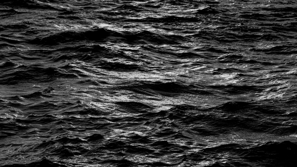 Mari e oceani sempre più scuri: quando il buio mette a rischio il futuro del mare