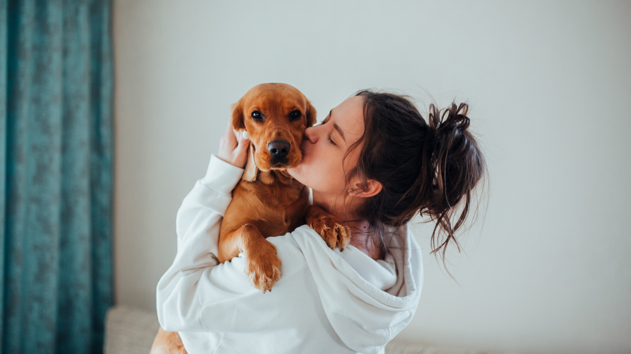 Il cane batte il partner: per molti americani è lui il vero amore di casa