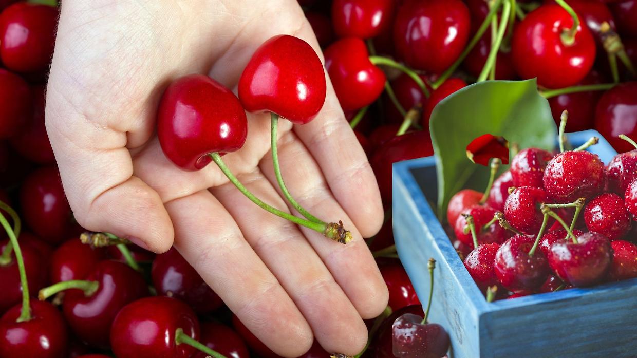 Pecetto celebra le ciliegie: 110ª edizione tra folclore e sapori