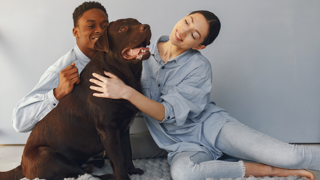 Empatia sorprendente: perché i cani suscitano più emozioni degli adulti umani