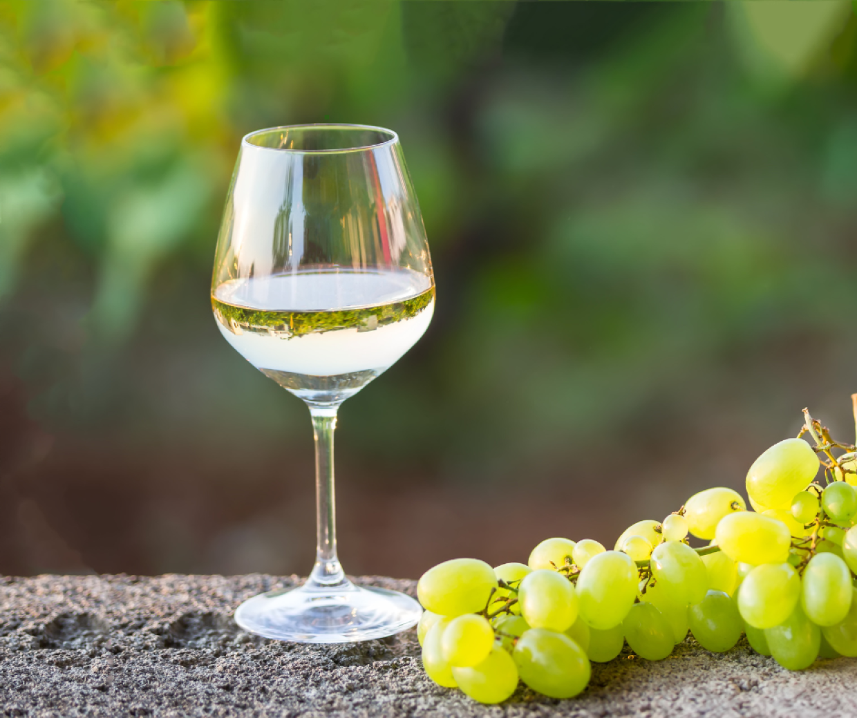 Torino celebra il vino bianco: un viaggio tra le eccellenze italiane