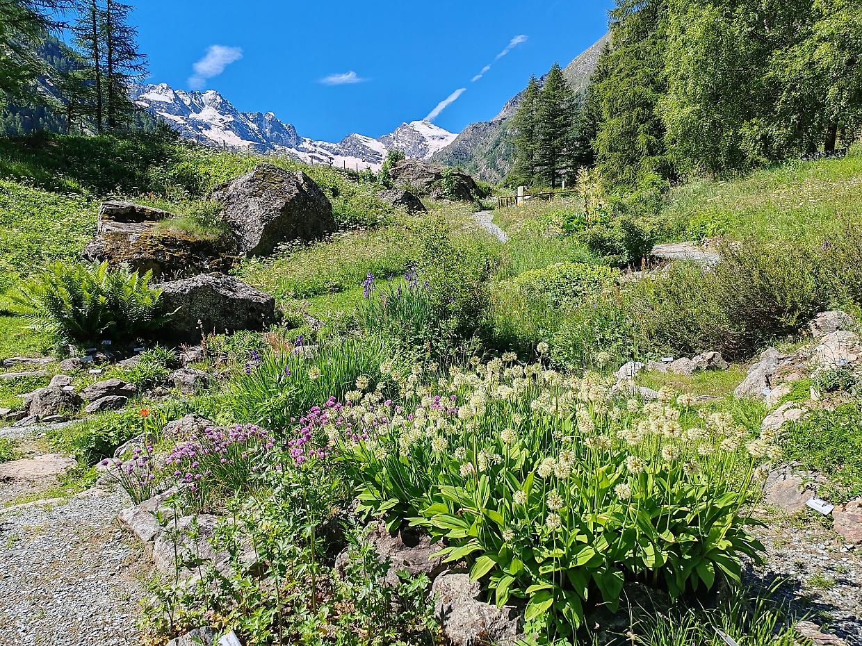Stop alla plastica sulle vette: il Gran Paradiso celebra la Giornata Mondiale dell’Ambiente 2025
