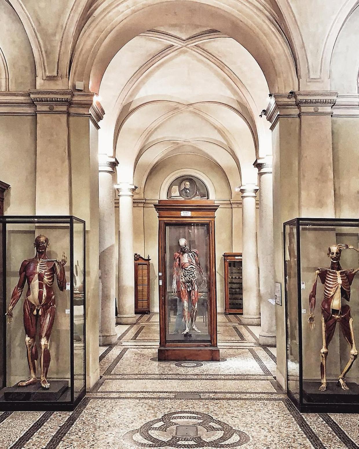 Il Museo di Anatomia Umana apre le sue porte per la Notte degli Archivi