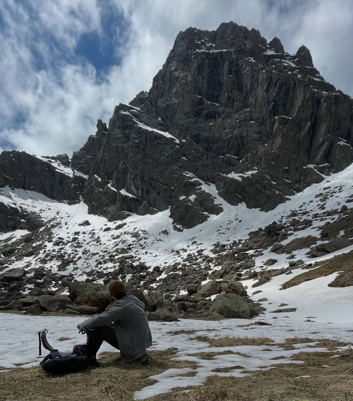 Uccelli in fuga dal cambiamento climatico: uno studio dell&rsquo;Universit&agrave; di Torino lancia l&rsquo;allarme