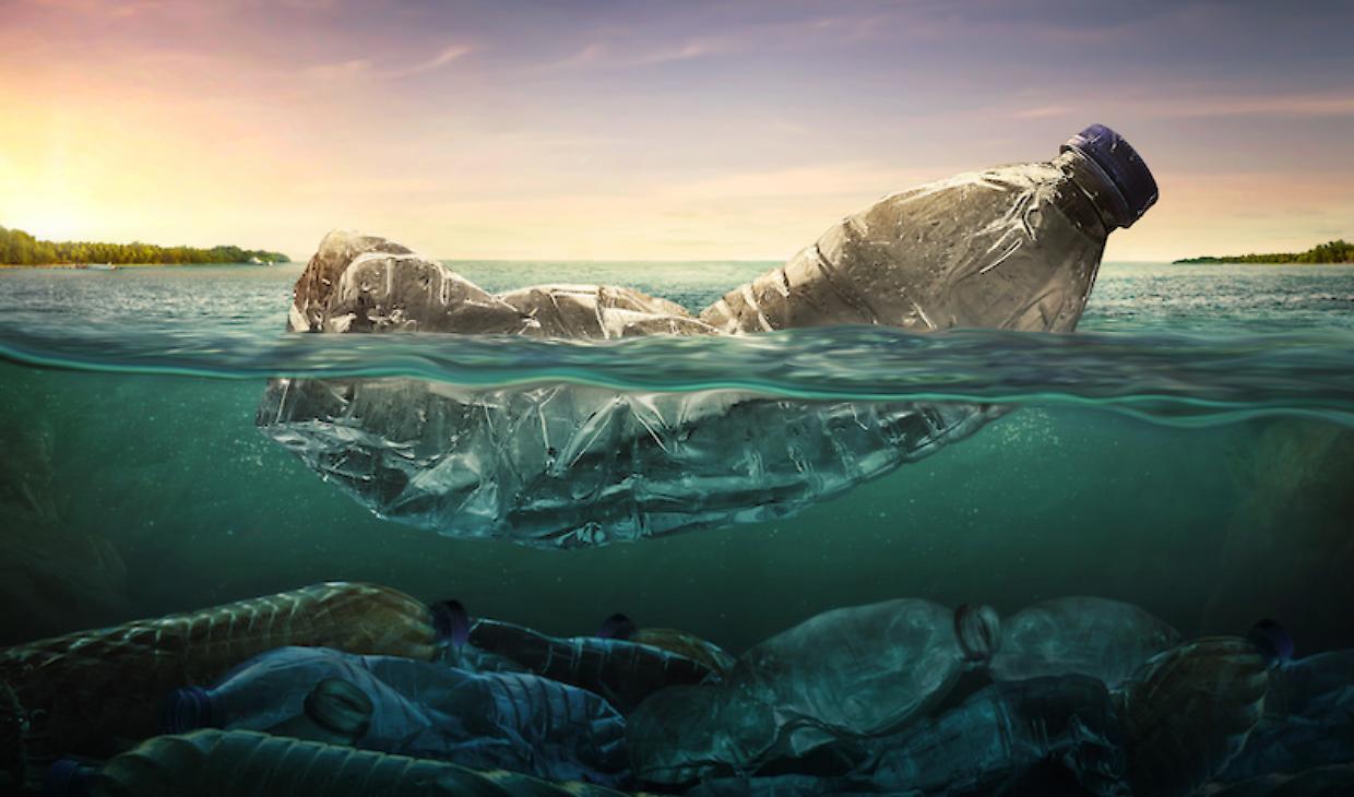 Oggi si festeggia la Giornata Mondiale per l'Ambiente, scopriamo cos'è e come si festeggia quest'anno