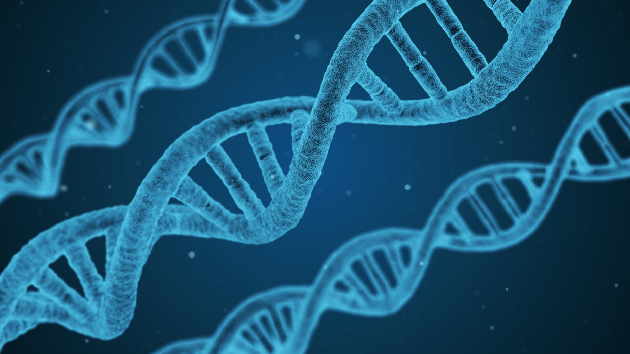 Carenza di ferro e sesso invertito: la scoperta che riscrive le leggi della biologia nei mammiferi