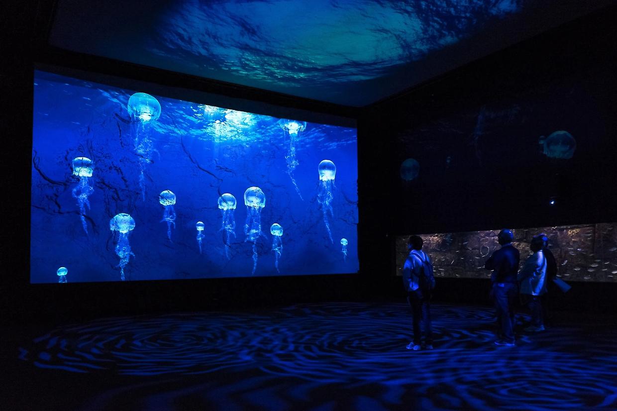 Genova, arriva il robot che parla coi visitatori: Alter-Ego debutta all’Acquario