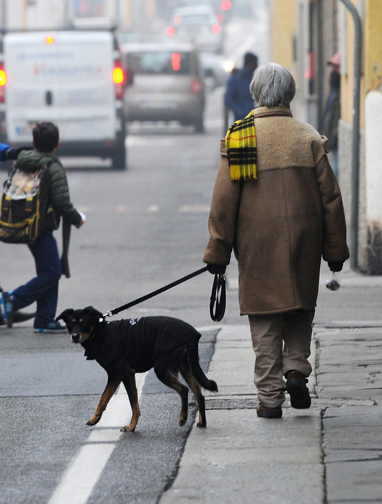 Vietato portare a spasso i cani, l'Iran estende il divieto in 18 città