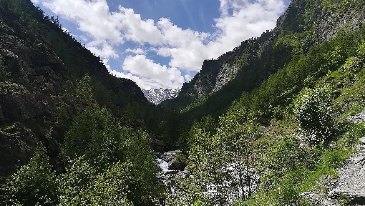 Sentiero Verde 2025: un viaggio tra natura e storia nella Val Pellice