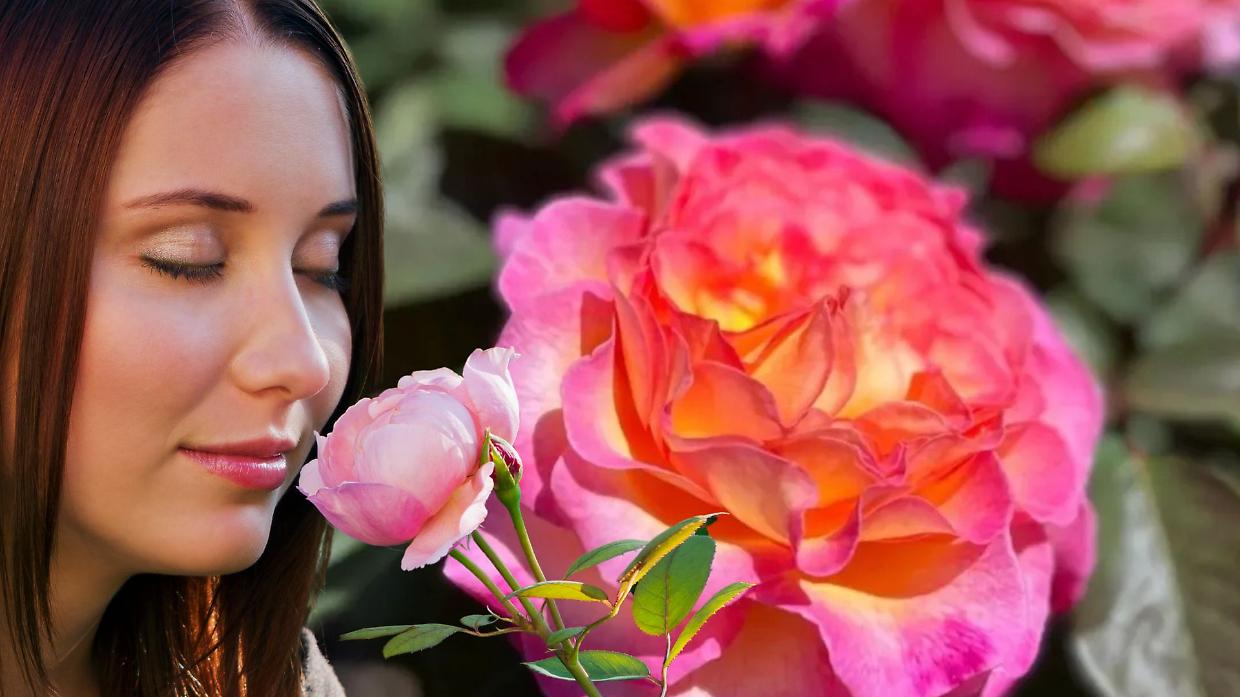 Bossolasco profuma di rose: tornano le passeggiate più belle dell’estate