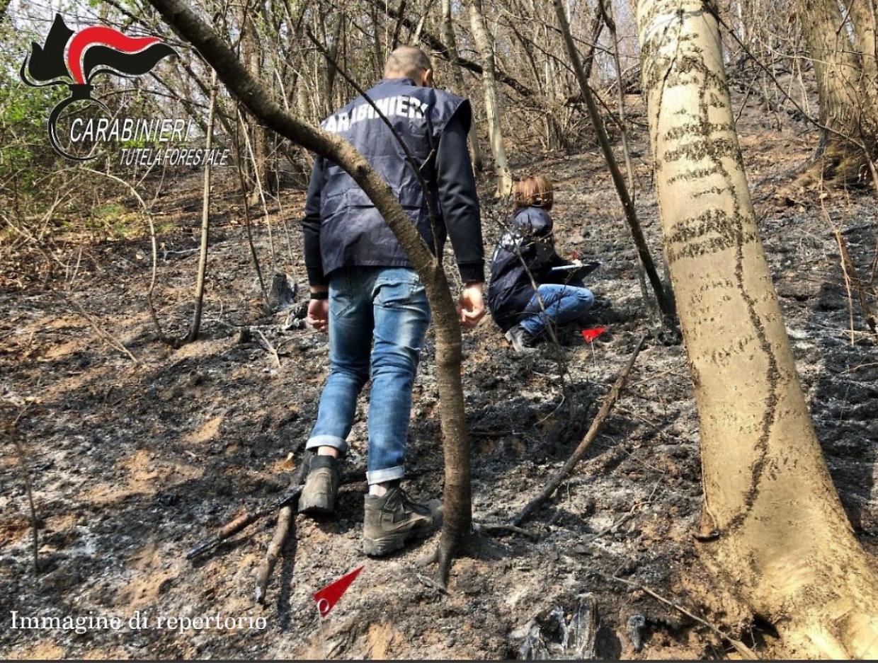Dato un volto al colpevole dell'incendio boschivo tra Baldissero Canavese e Vidracco: ecco le dinamiche dell'evento