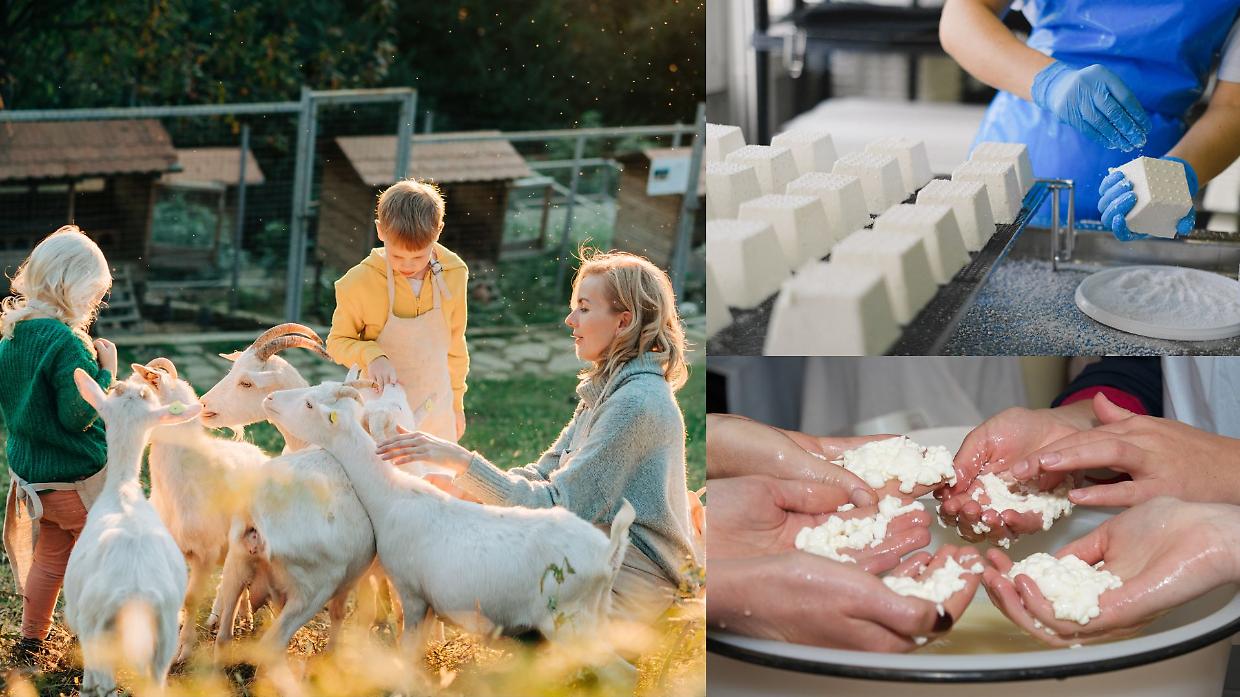 Il servizio veterinario dell’ASL CN2 a supporto delle scuole: un’immersione nel mondo caseario